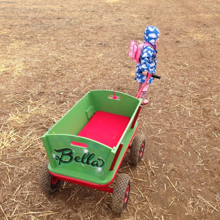 Jimmy's Farm Sausage and Beer Festival 2015 Review