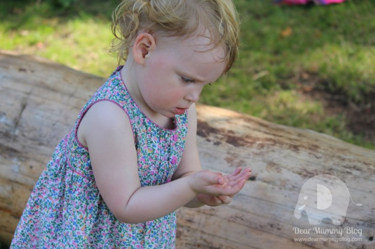 Charlie and Lola at Mottisfont