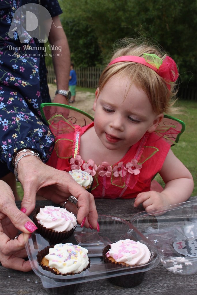 Fairy and Pixie Party at Wellington Country Park