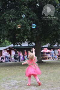 Wellington Country Park Fairy Festival
