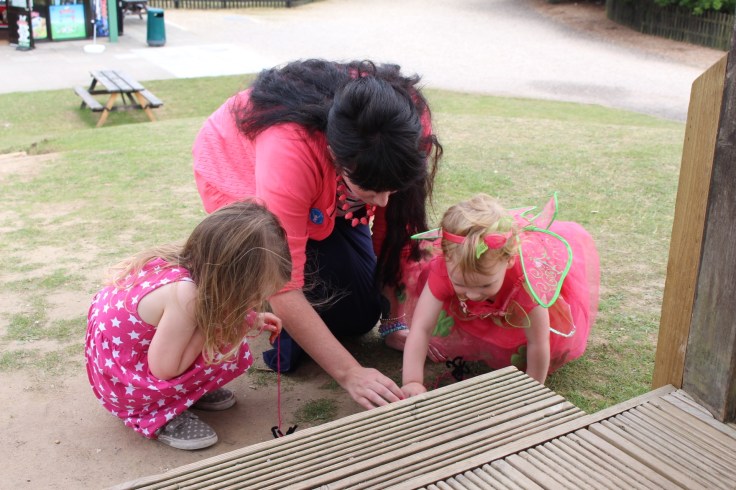 Fairy and Pixie Party at Wellington Country Park