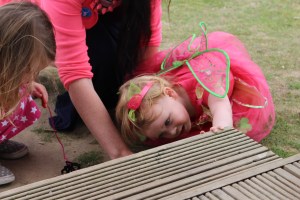 Fairy and Pixie Party at Wellington Country Park