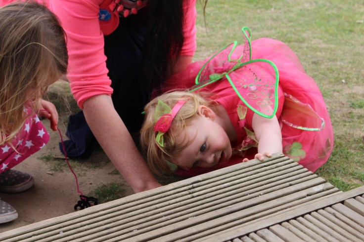 Fairy and Pixie Party at Wellington Country Park
