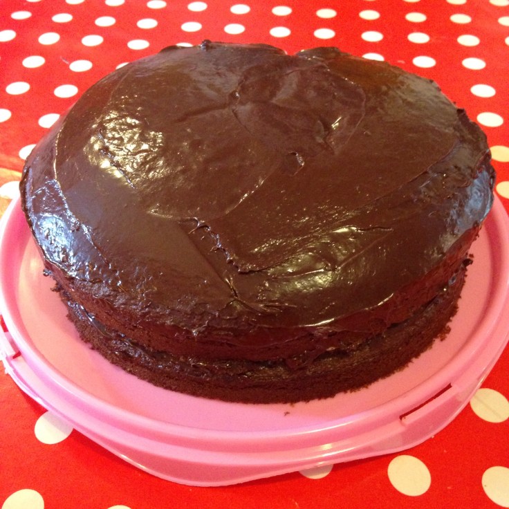 Betty Crocker Devil's Food Cake