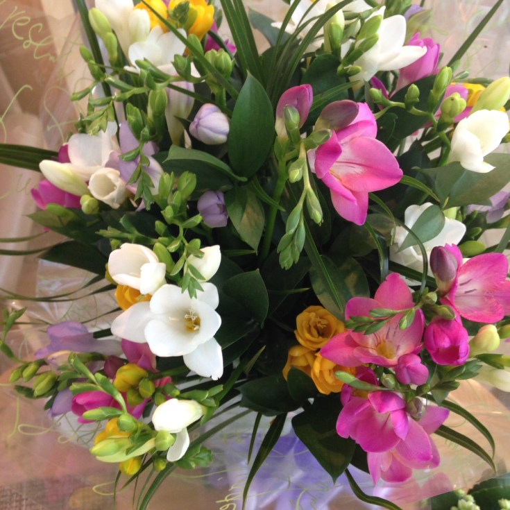 Four Seasons Hampshire Review