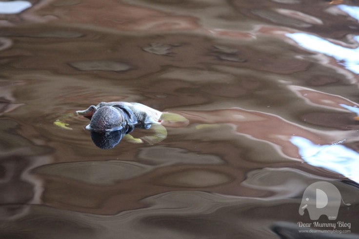 Dismaland Immigrants