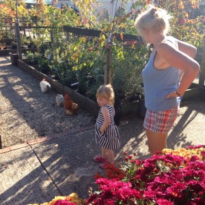 West Wittering Beach