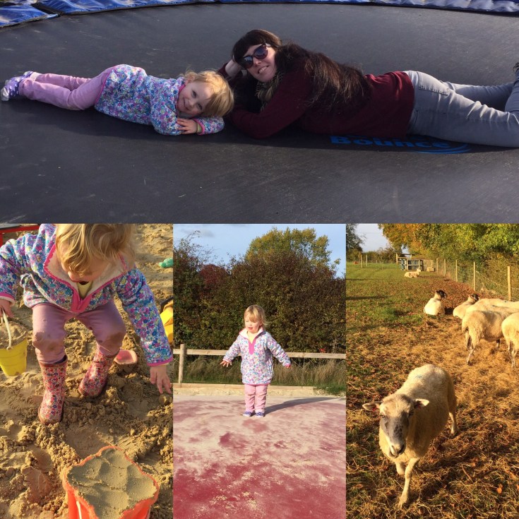 Pumpkin Carving at Manydown Farm