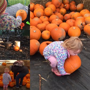 Pumpkin Carving at Manydown Farm