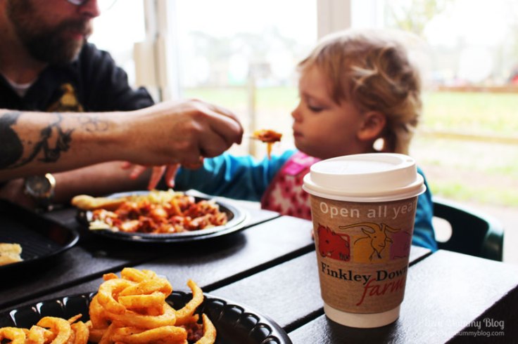 Moody's cafe at Finkley Down Farm