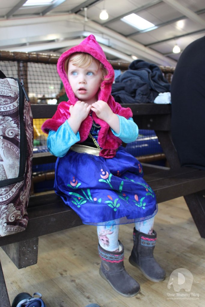 Let it snow at Finkley Down Farm