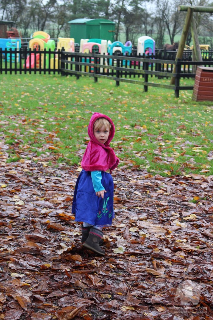 Let it snow at Finkley Down Farm