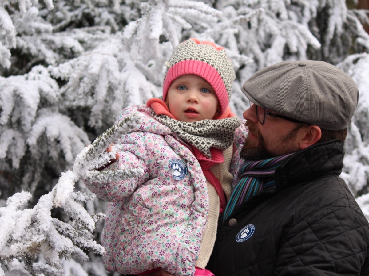 LaplandUK Review 2015