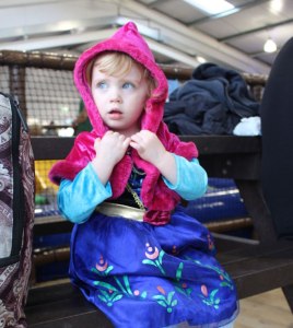 Let it snow at Finkley Down Farm