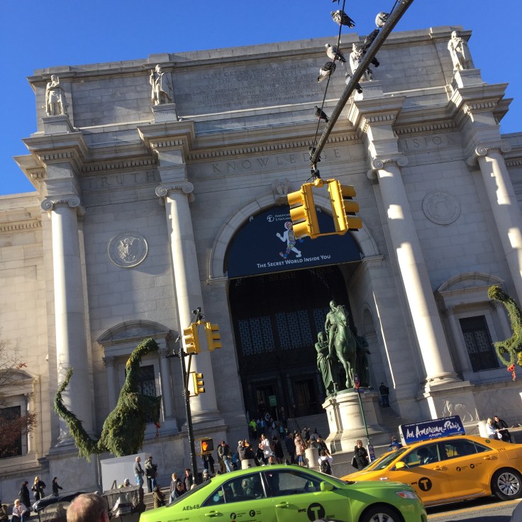 National History Museum