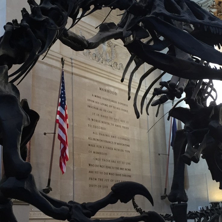 National History Museum