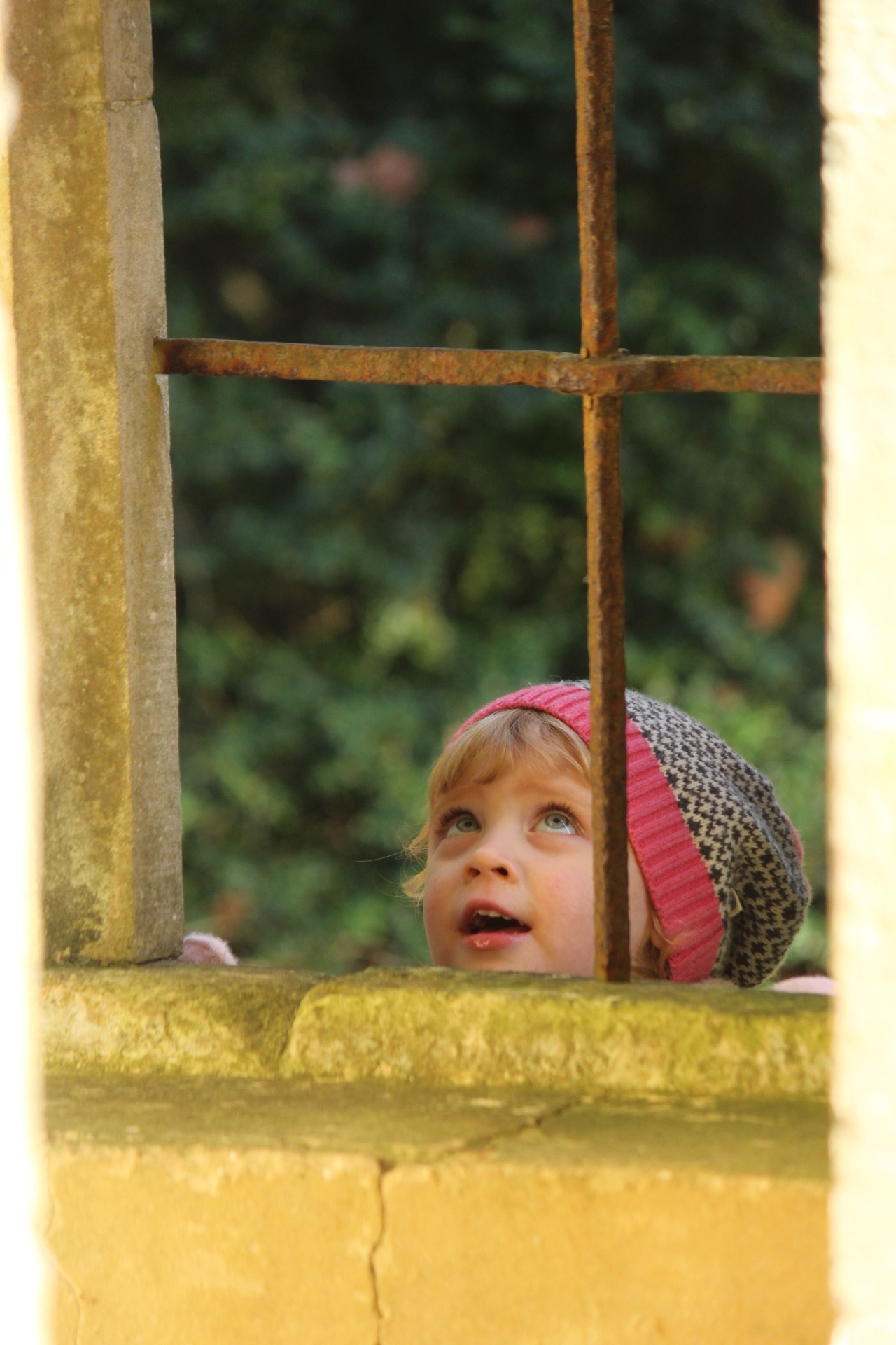 Bella looking out of a window