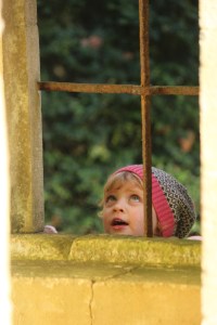 Bella looking out of a window