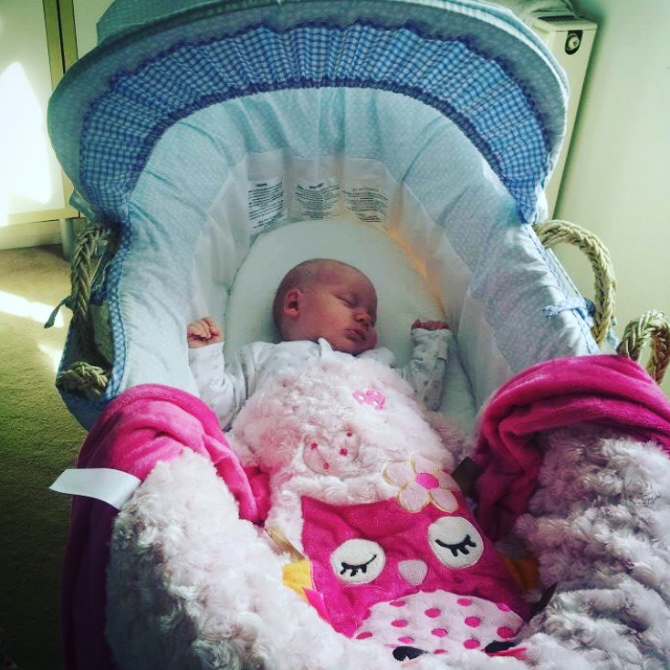 Bella in Moses Basket