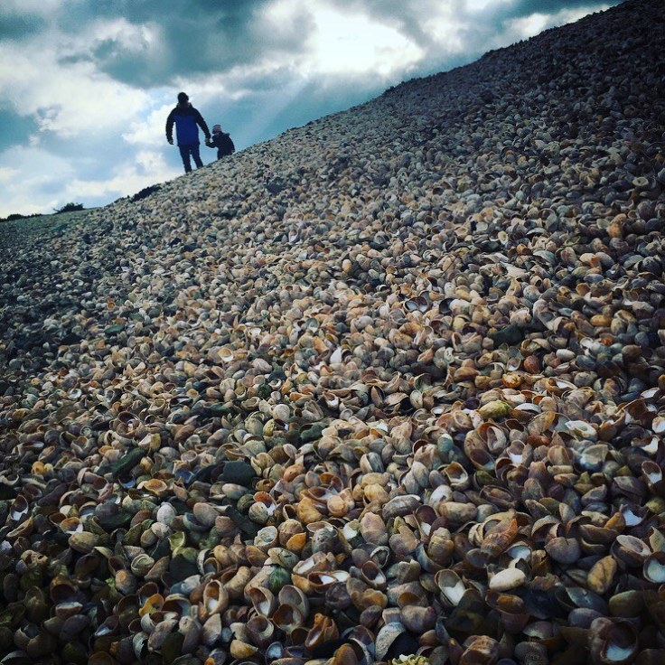 The Ferryboat Inn, Hayling Island