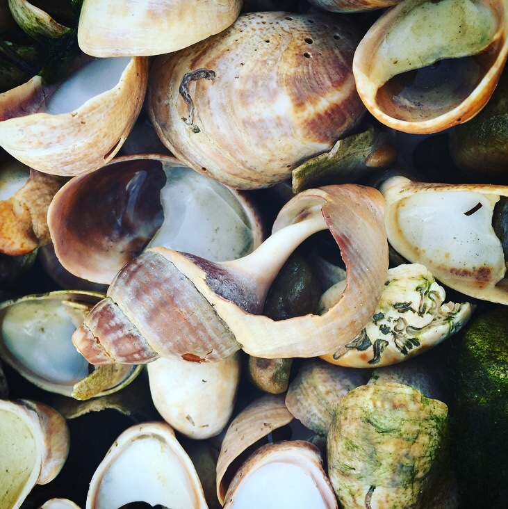 The Ferryboat Inn, Hayling Island