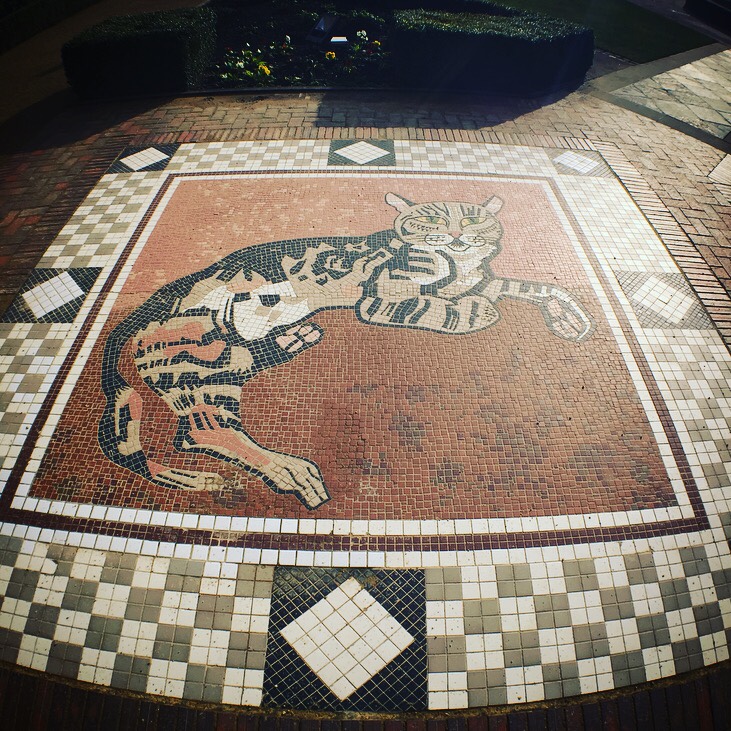 Belfast Castle Review