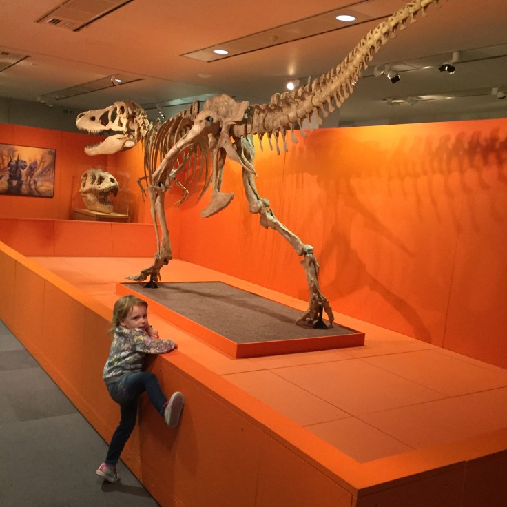 Horniman Museum Review 