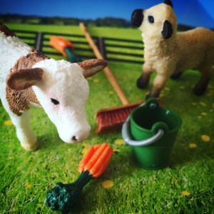Schleich Farm Yard Animal Review