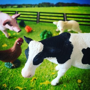 Schleich Farm Yard Animal Review
