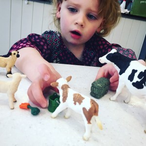 Schliech Farm Yard Animals