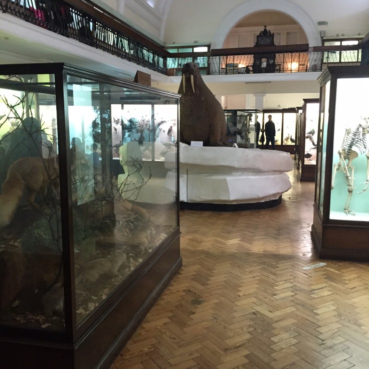 Horniman Museum Review 