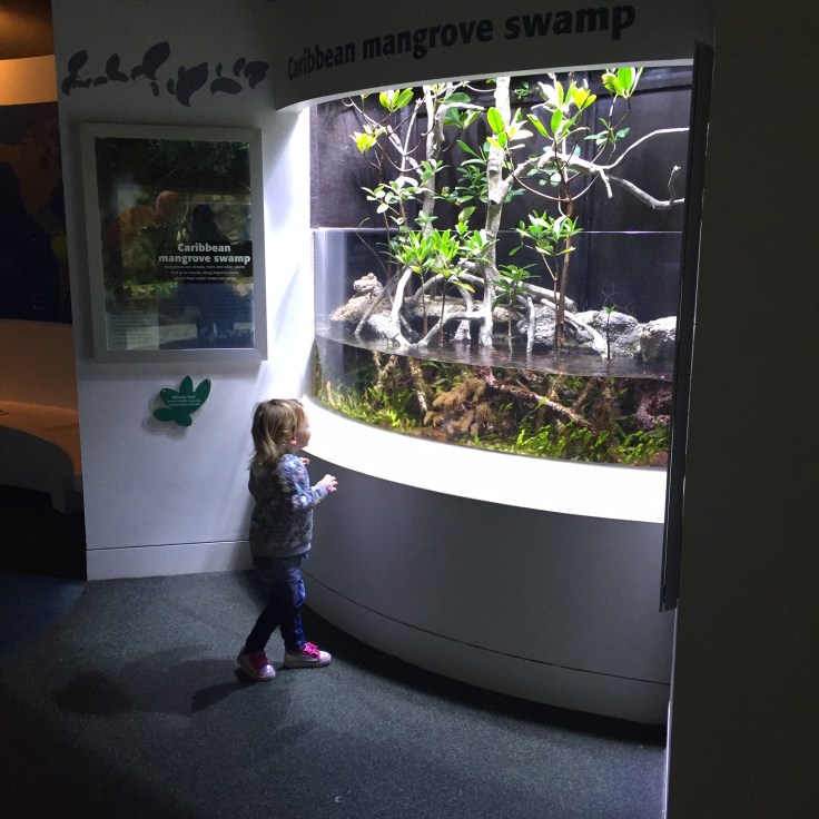Horniman Museum Review 
