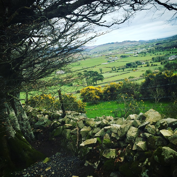 The Giants Lair at Slieve Gullion Forest Park