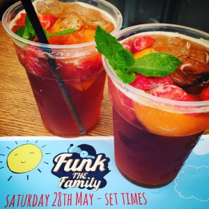 Funk the Family Festival Review 2016