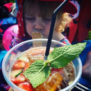 Funk the Family Festival Review 2016