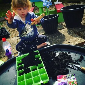 Planting in our garden