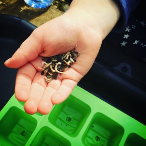 Planting in our garden