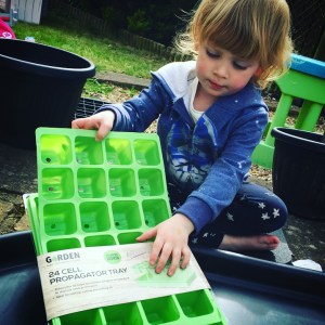 Planting in our garden