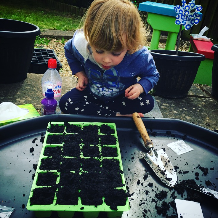 Planting in our garden