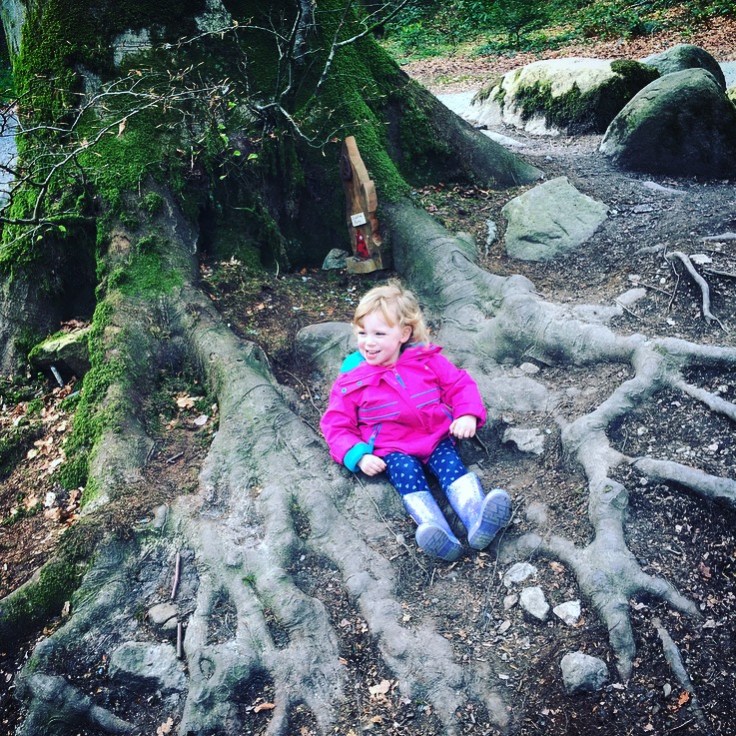 The Giants Lair at Slieve Gullion Forest Park