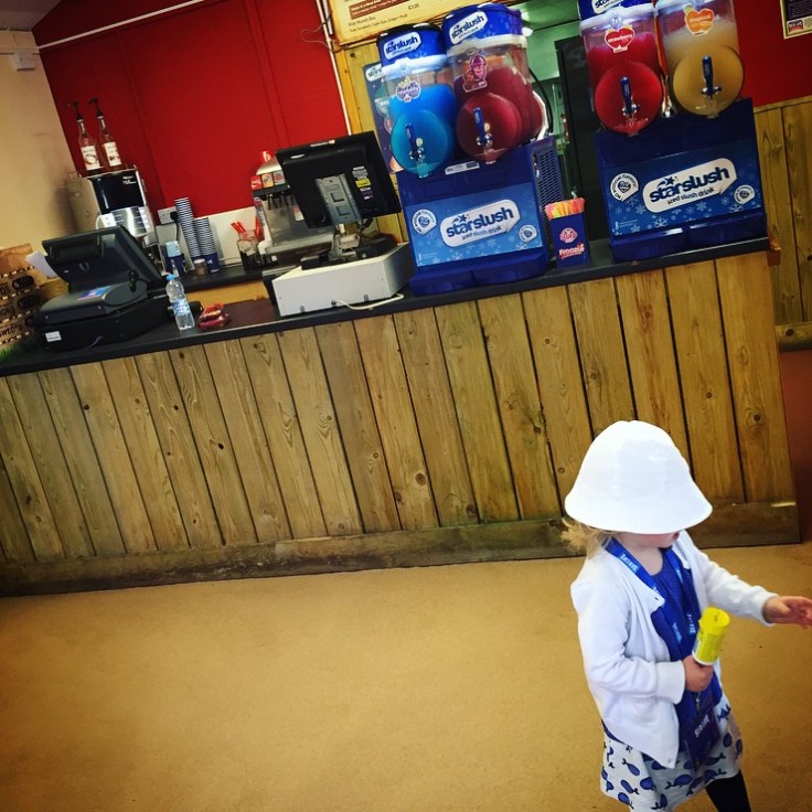 Weymouth SEA LIFE Adventure Park Review