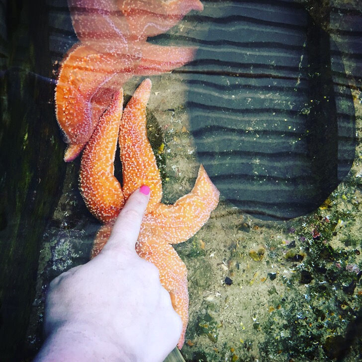 Weymouth SEA LIFE Adventure Park Review