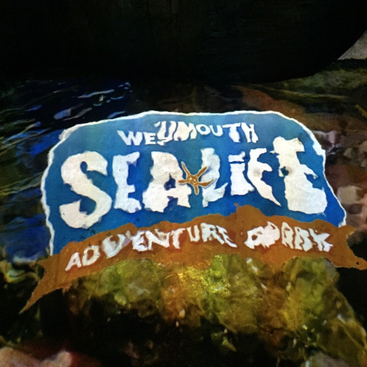 Weymouth SEA LIFE Adventure Park Review