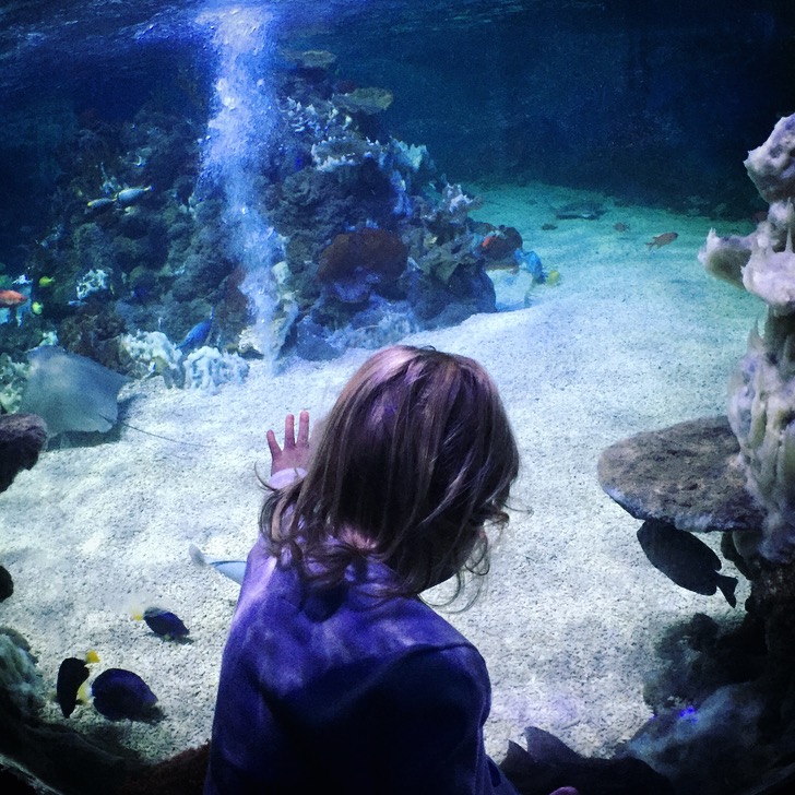 Weymouth SEA LIFE Adventure Park Review