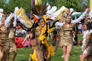 Funk the Family Festival Review 2016