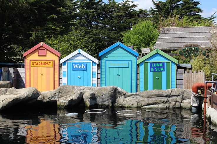 Weymouth SEALIFE Review