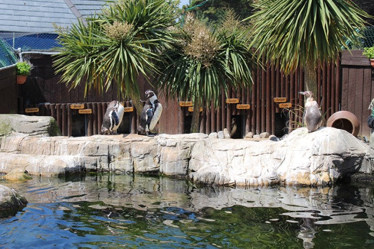 Weymouth SEALIFE Review