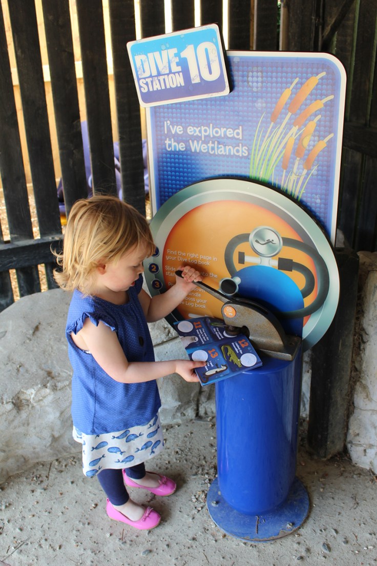 Weymouth SEA LIFE Adventure Park Review