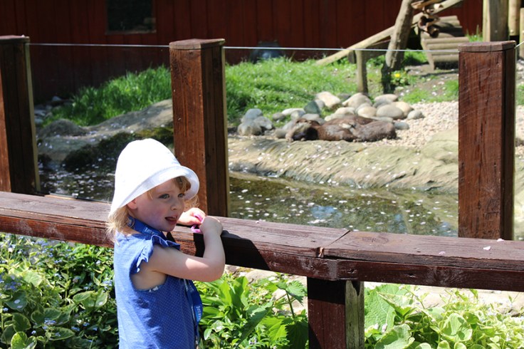 Weymouth SEA LIFE Adventure Park Review