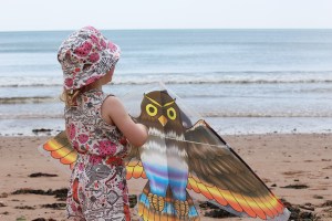 Dawlish Warren Beach